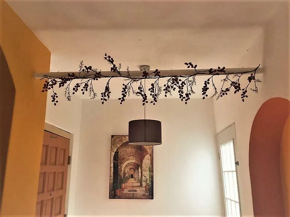 Margaritas B&B Cancún
